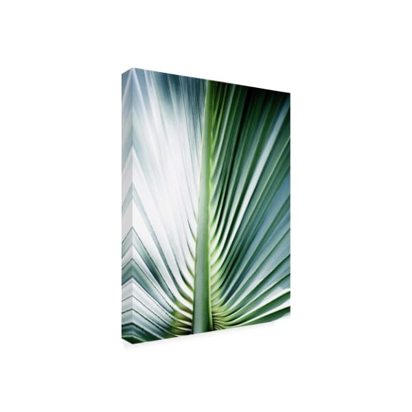 Incado 'Close Up III Tropic' Canvas Art,35x47